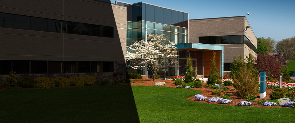 Tacoma Landscapers