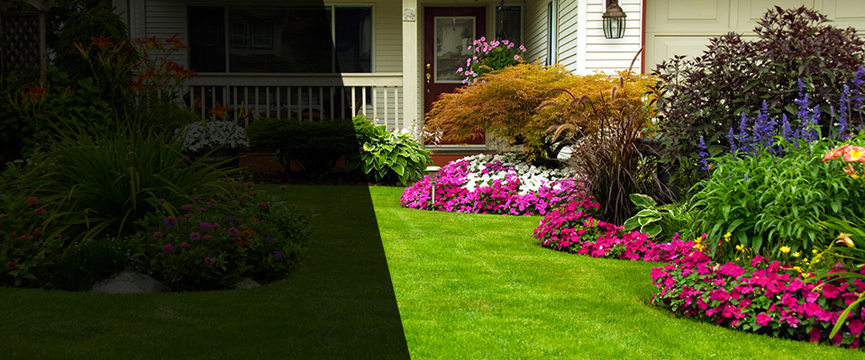 Tacoma Landscapers