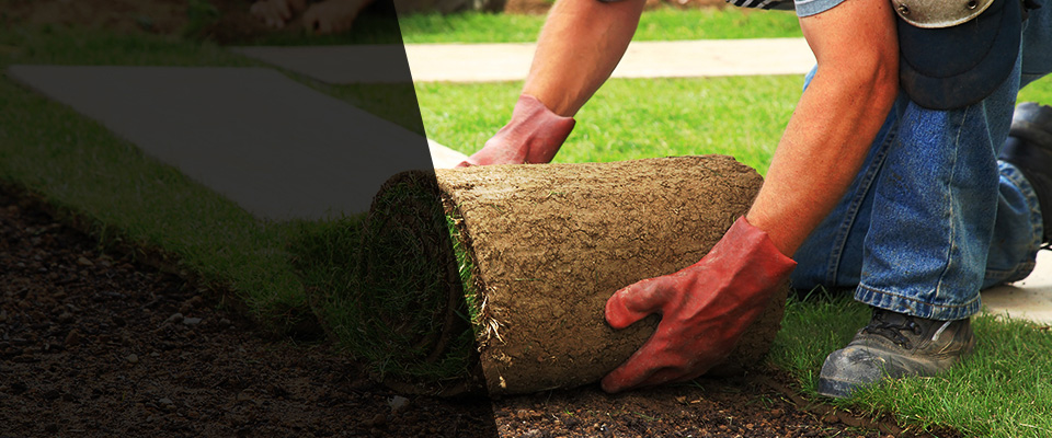 Tacoma Landscapers